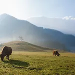 & Glamping Ex Cvet Gora 3* Zgornje Jezersko