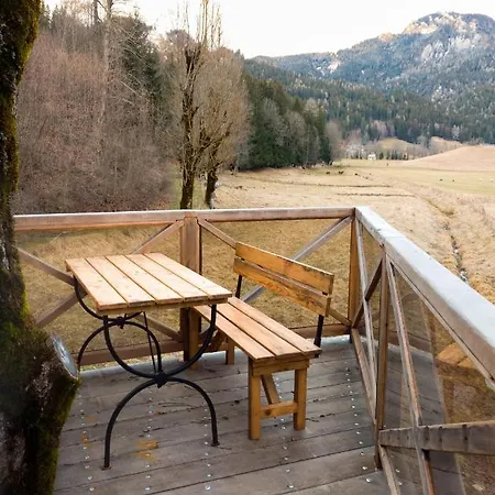 Bed & Breakfast & Glamping Ex Cvet Gora Zgornje Jezersko