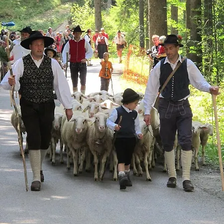 & Glamping Ex Cvet Gora