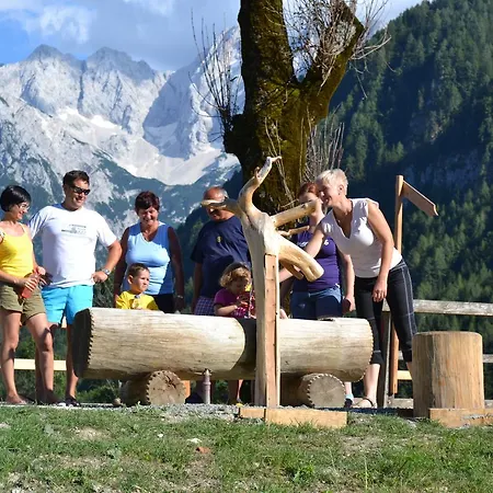 Camping&glamping Ex Cvet Gora Bed & Breakfast