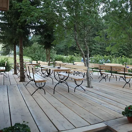 & Glamping Ex Cvet Gora