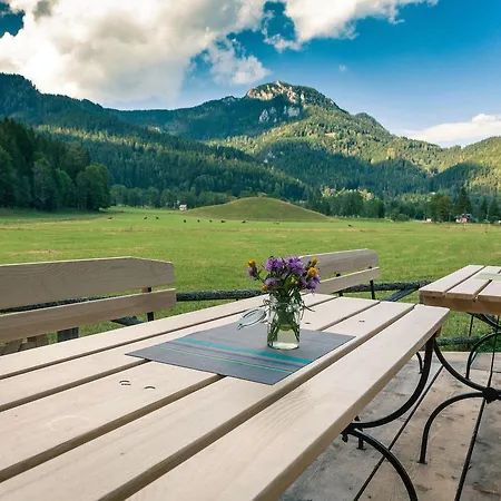 Bed & Breakfast & Glamping Ex Cvet Gora
