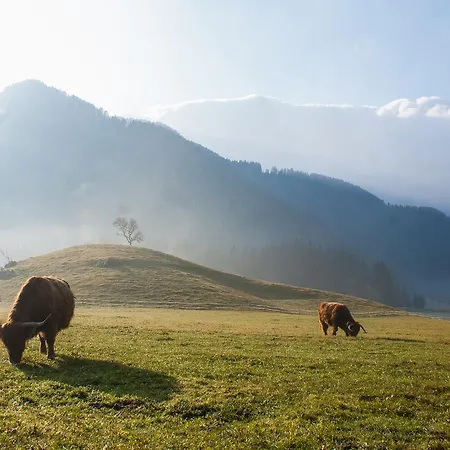 & Glamping Ex Cvet Gora 3* Zgornje Jezersko