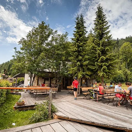 Camping&glamping Ex Cvet Gora Bed & Breakfast 3*