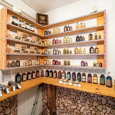 ベッド・アンド・ブレックファスト & Glamping Ex Cvet Gora