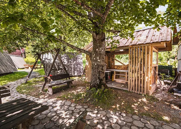 & Glamping Ex Cvet Gora 住宿加早餐酒店 泽高杰斯科