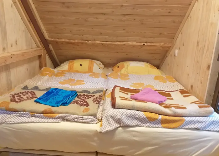 Camping&glamping Ex Cvet Gora Bed & Breakfast