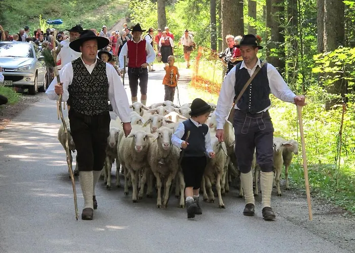 Camping&glamping Ex Cvet Gora