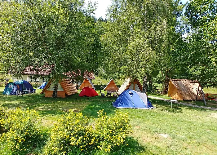 & Glamping Ex Cvet Gora 住宿加早餐酒店 3*