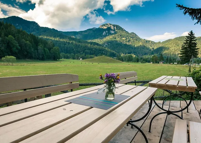 Bed & Breakfast Camping&glamping Ex Cvet Gora