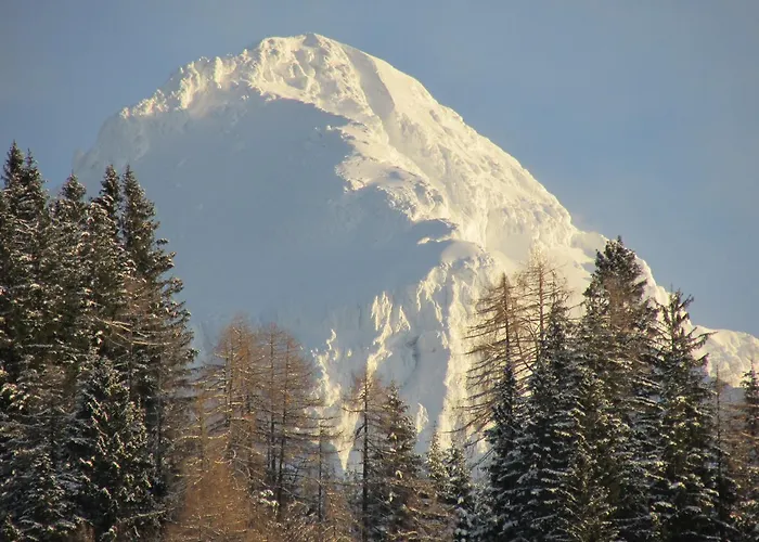 & Glamping Ex Cvet Gora 住宿加早餐酒店 泽高杰斯科