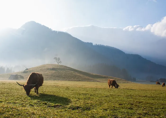 Camping&glamping Ex Cvet Gora 3* Zgornje Jezersko