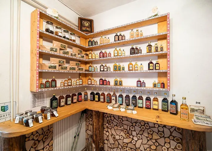 住宿加早餐酒店 & Glamping Ex Cvet Gora