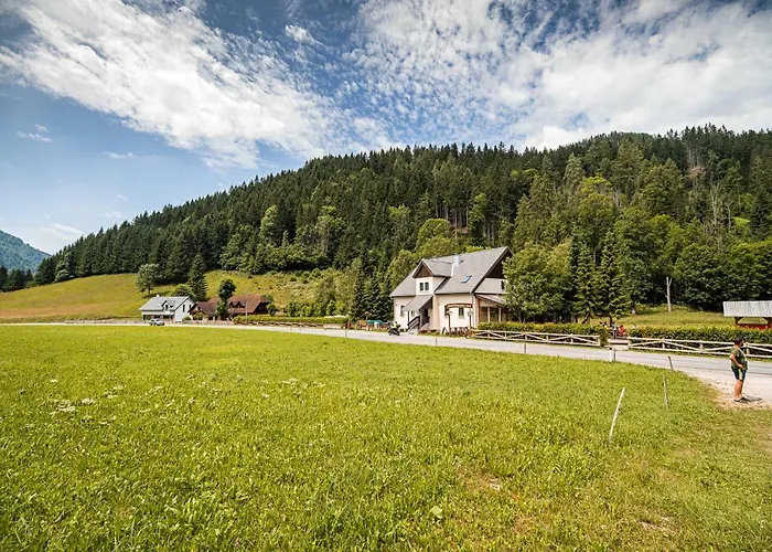 Camping&glamping Ex Cvet Gora Zgornje Jezersko